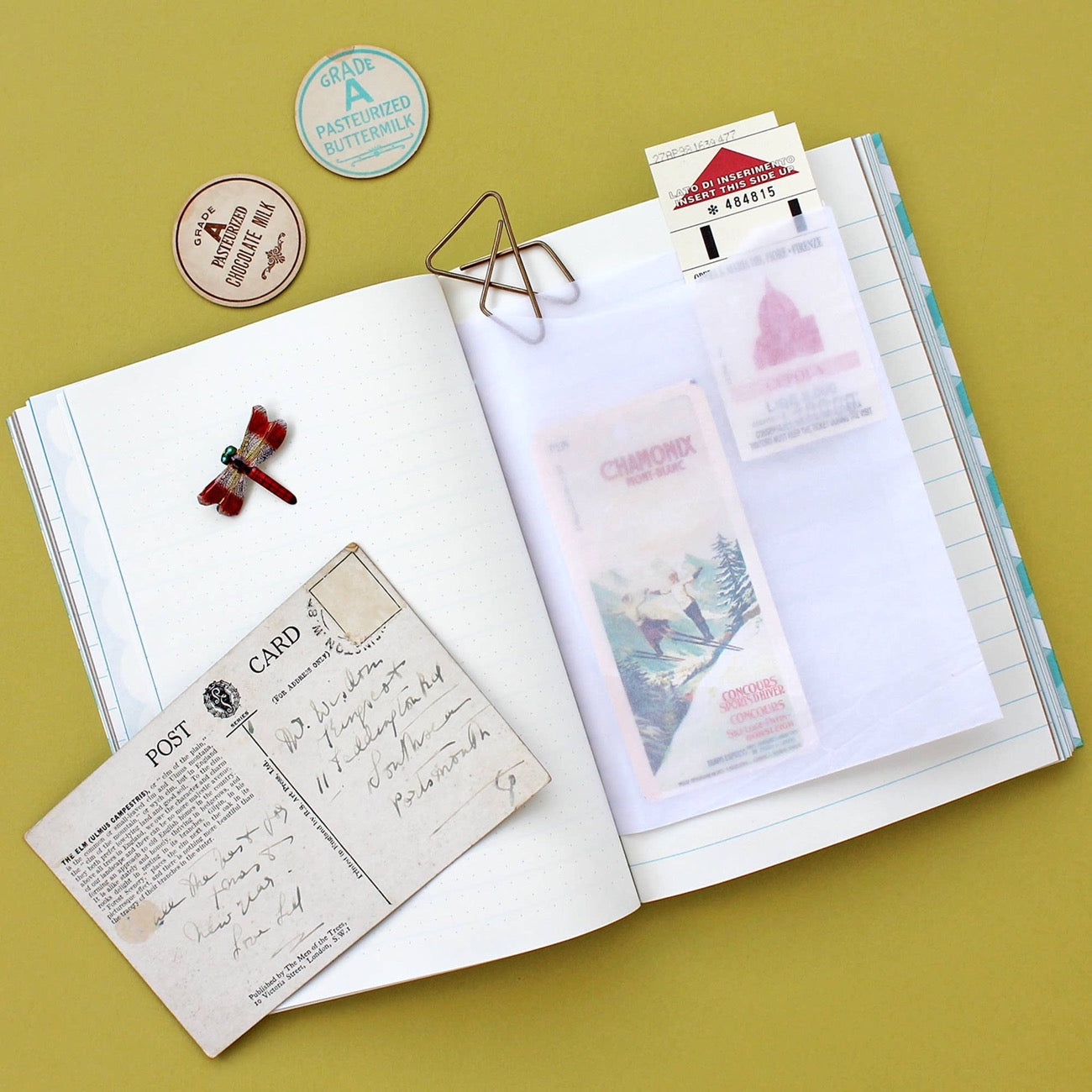 Journal Feuilles et Graines, papier recyclé de style vintage