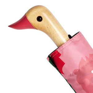 Vases | Parapluie Canard