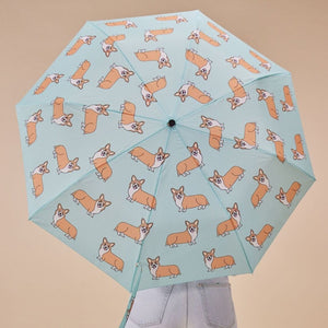 Chien Corgi | Parapluie Canard
