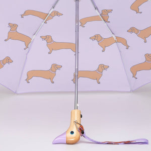 Saucisse-chien | Parapluie-canard