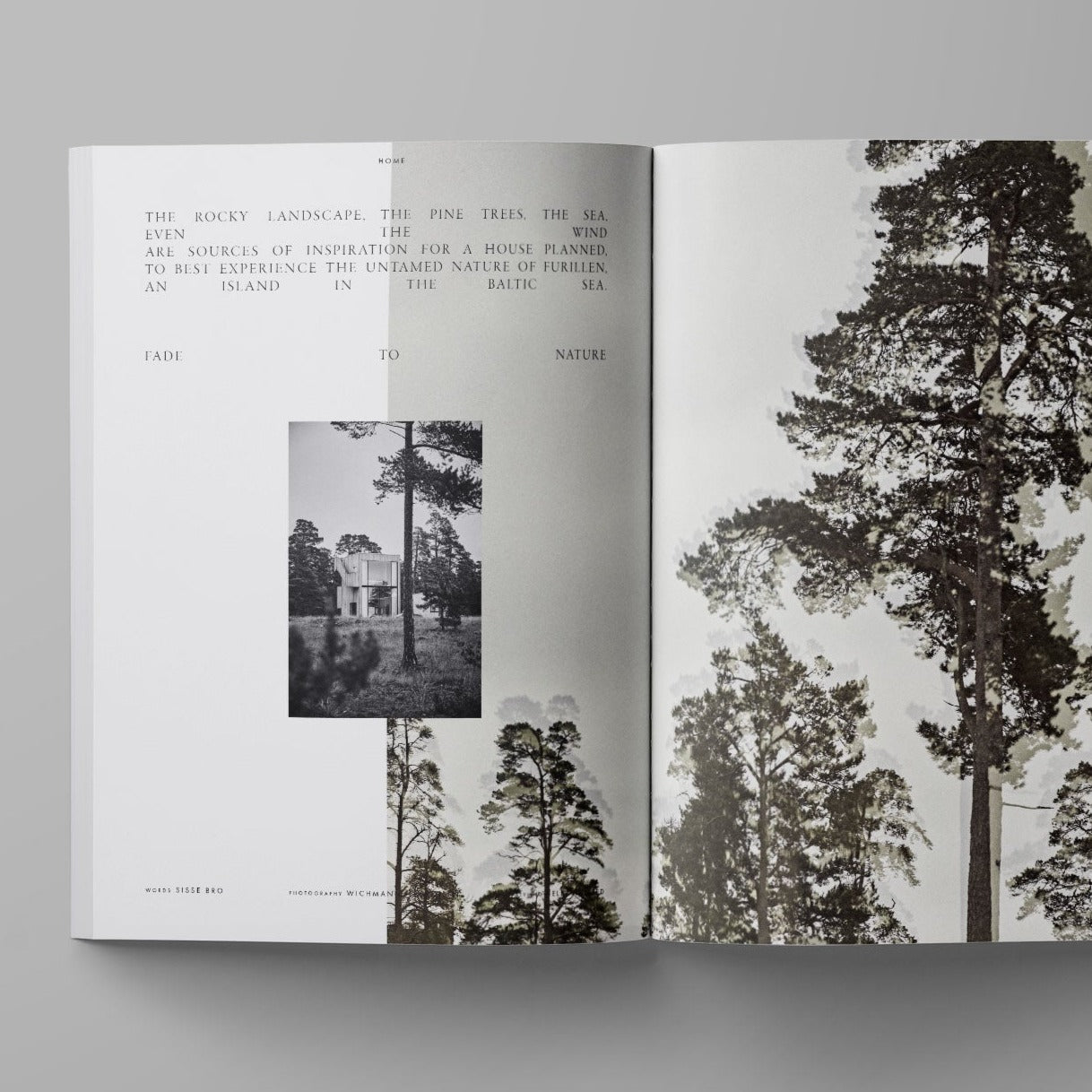 JOURNAL DE L'ARCHE | VOLUME XI