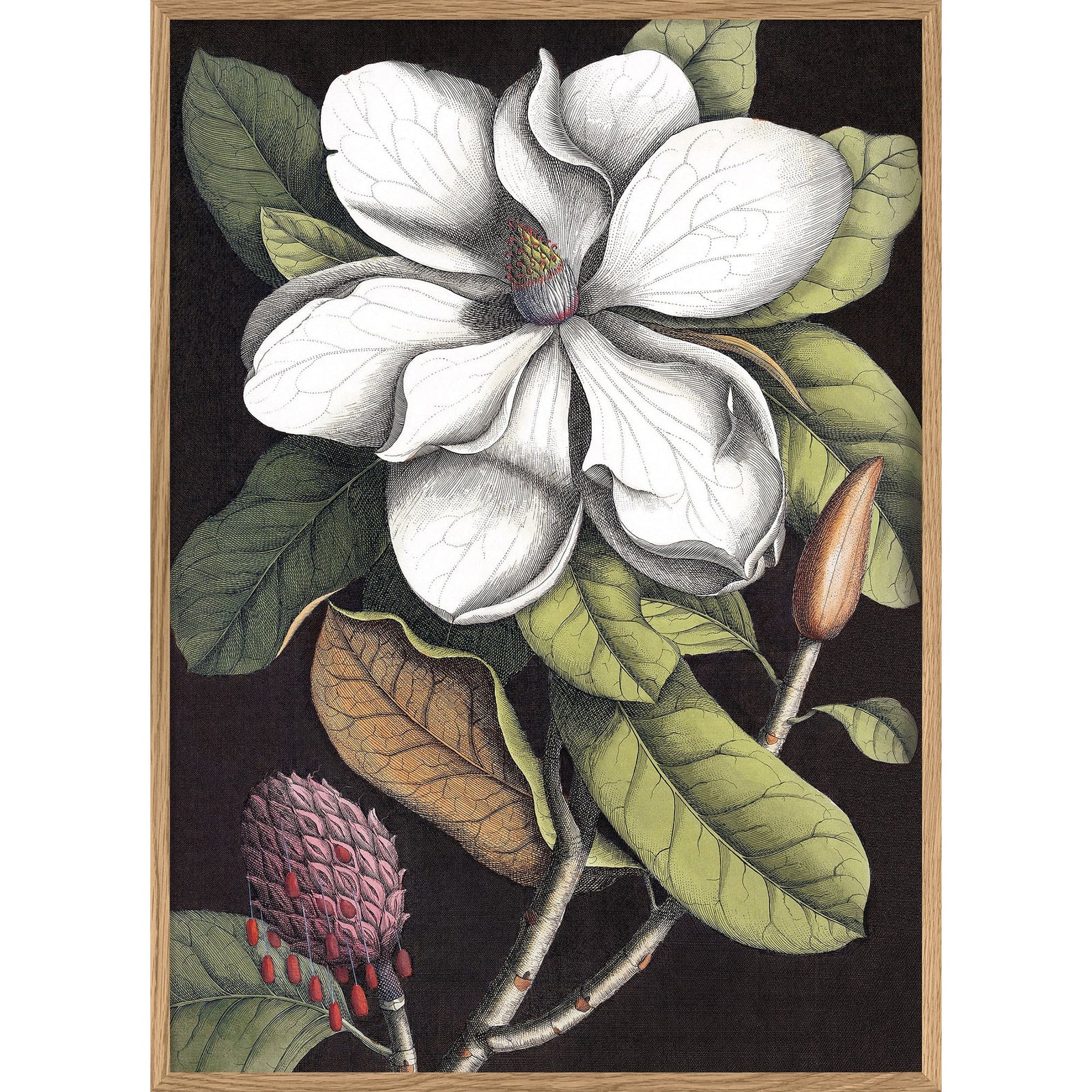 BLOOMING WHITE MAGNOLIA | 30x40cm | OAK FRAME