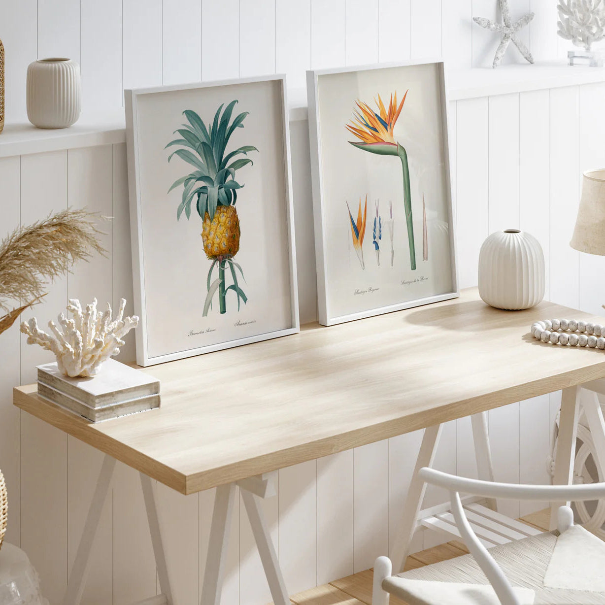 BROMELIA ANANAS | 30x40cm