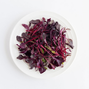 BULL'S BLOOD BEETROOT SEEDS