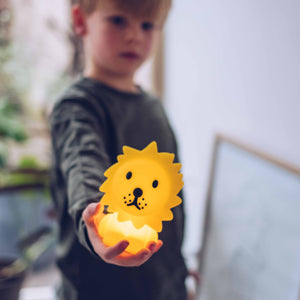 Child holding a lion-shaped night light indoors
