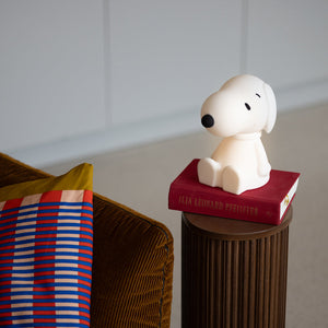 Bundle of Light | Snoopy