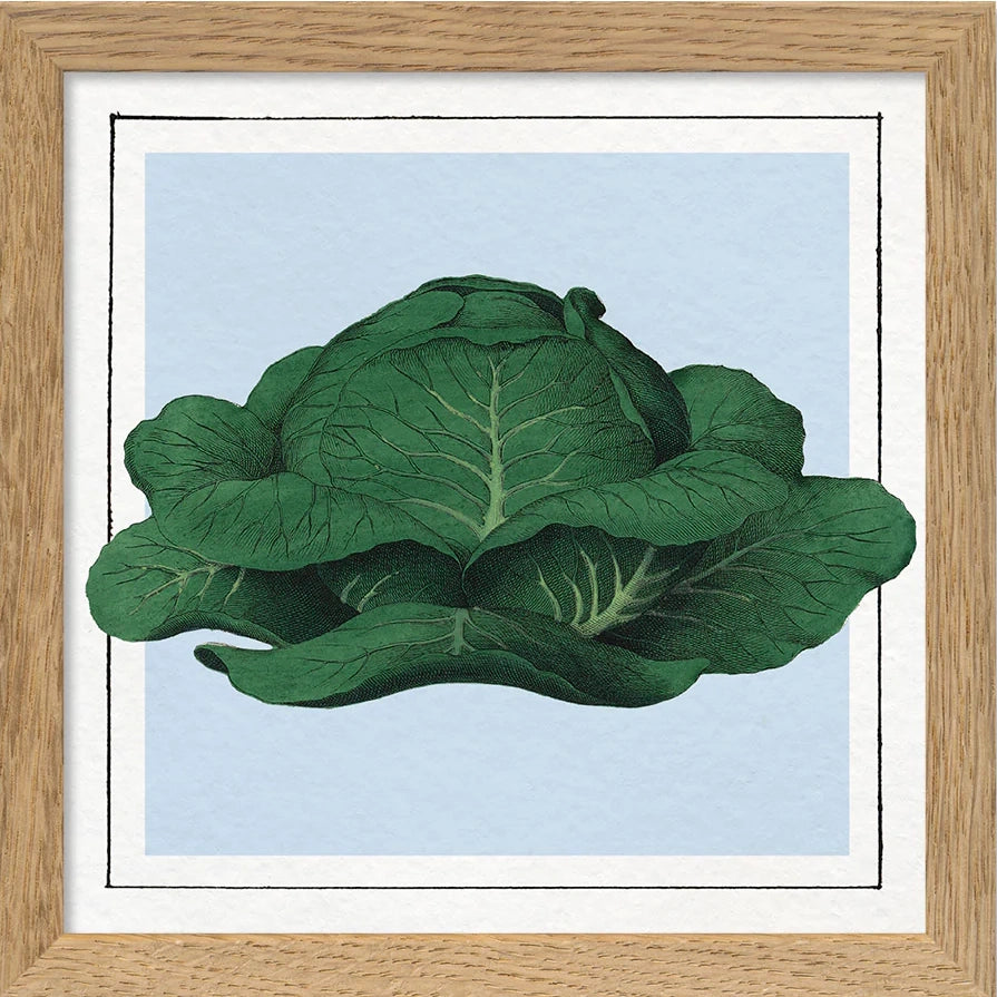 CABBAGE | 15x15cm | OAK FRAME