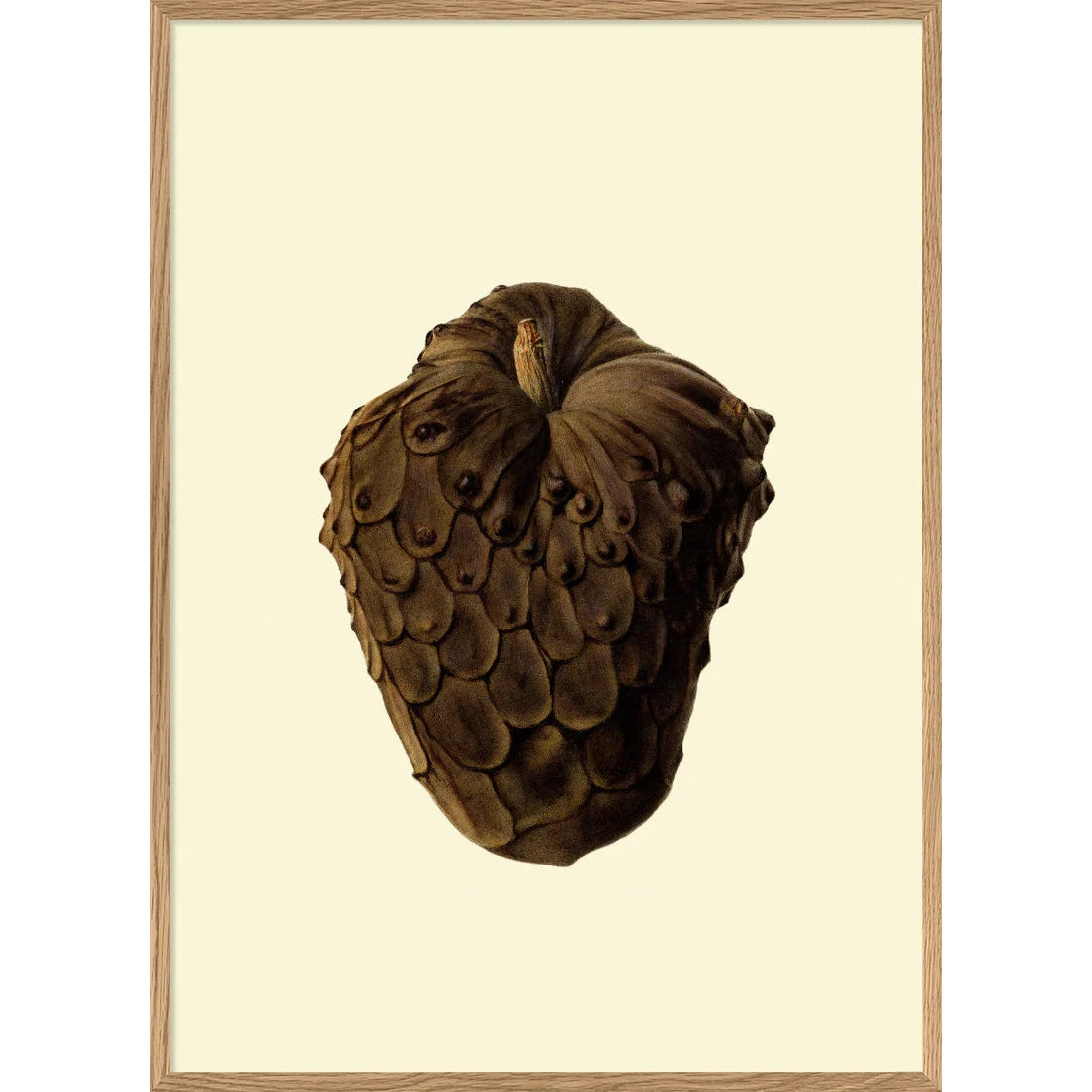 CHERIMOYA | 15x21cm | OAK FRAME
