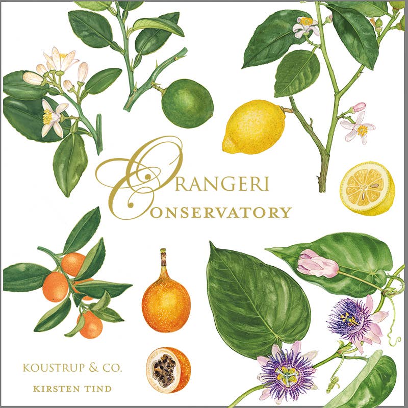 Conservatory 8 Cards & Envelopes Set