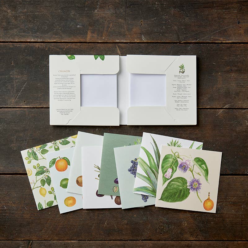 Set of botanical cards and an open card on a wooden surface