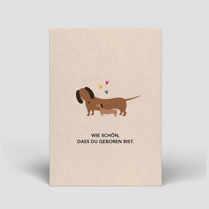Dachshund For Birth | Postcard