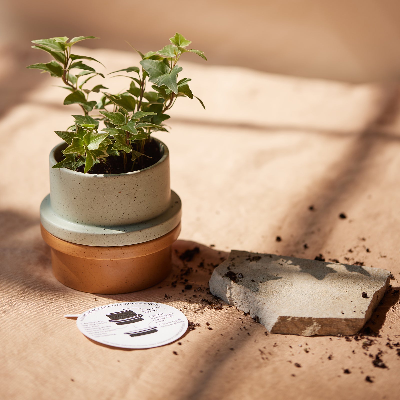 Folia Scented Candle | Bamboo & Green Tea | 326g