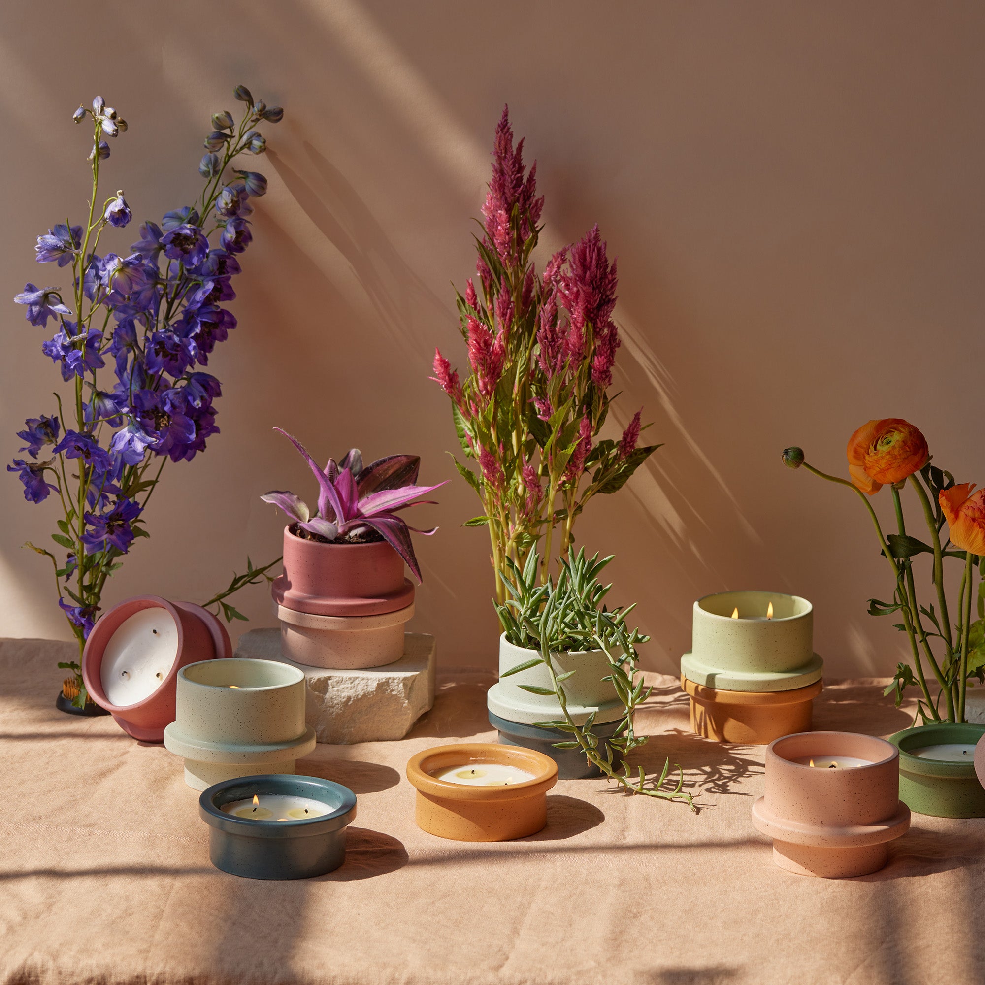 Folia Scented Candle by paddywax