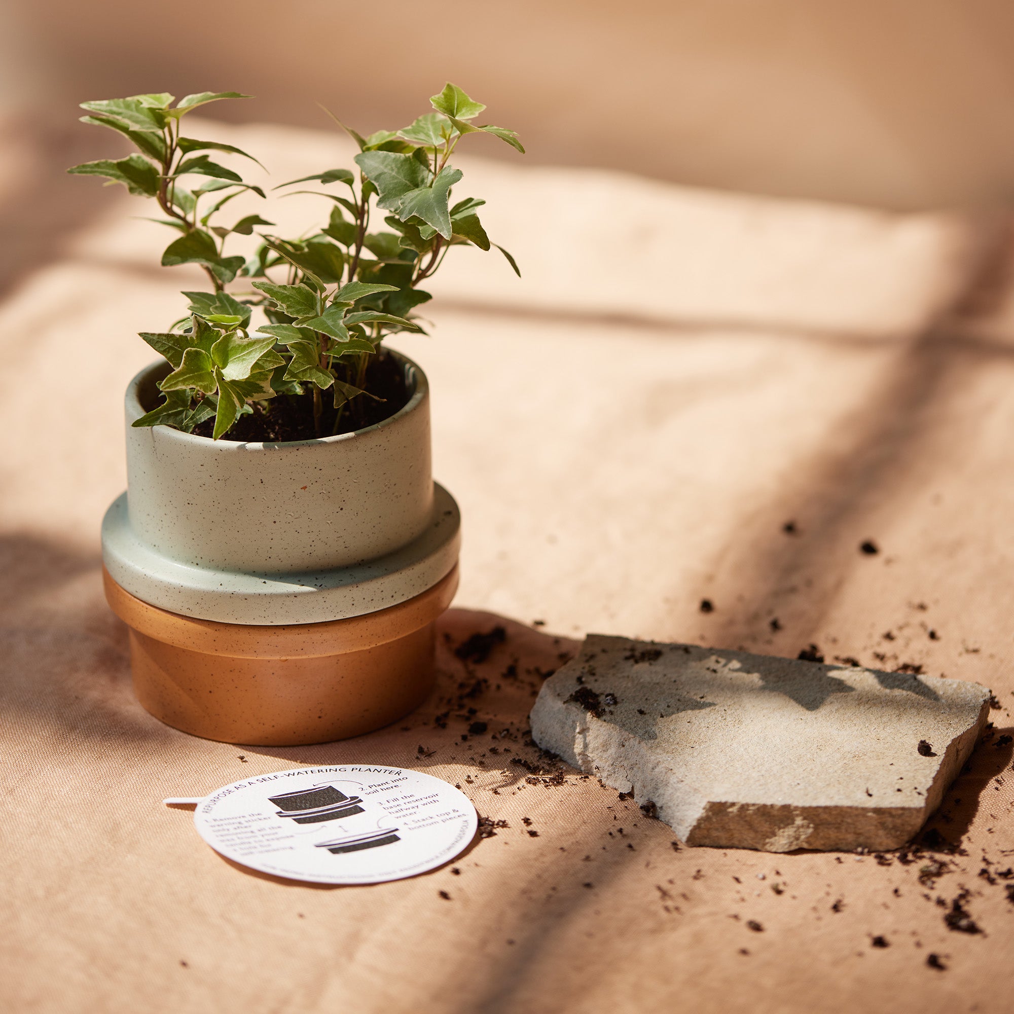 Folia Scented Candle