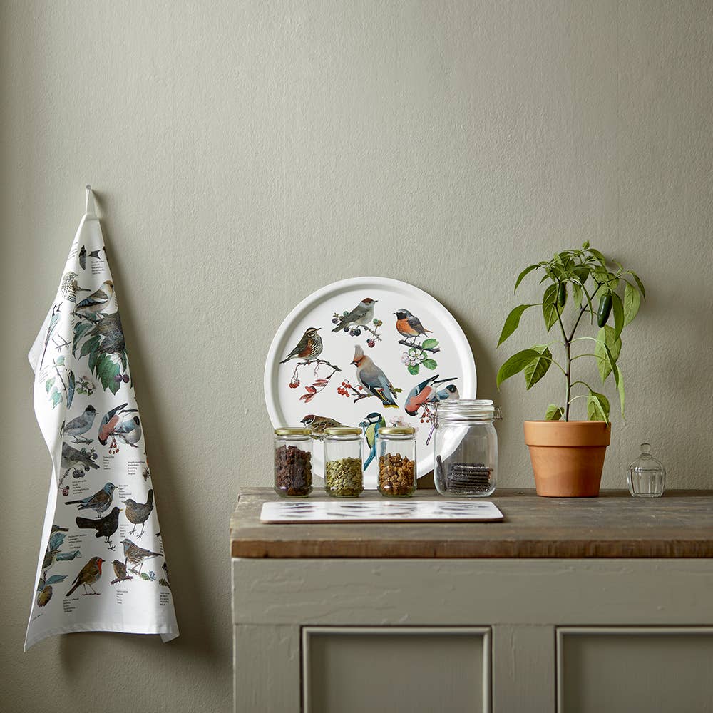 Decorative kitchen scene with a tea towel, plate, jars, and plant against a neutral wall.