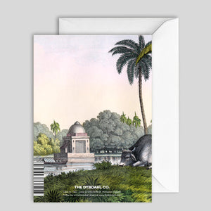 Greeting Card Water Baffolo
