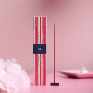 Striped incense box with a single incense stick on a pink background