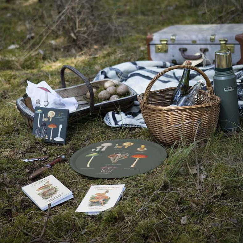 Picnic setup with wicker baskets, bottles, and books on grass