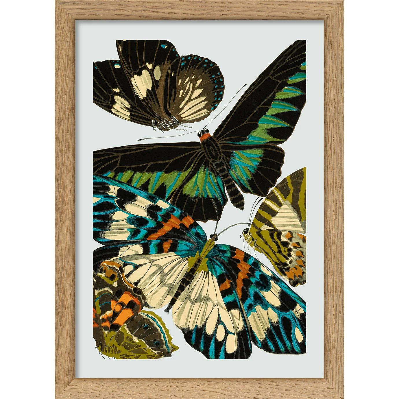 PAPILLON V | 15x21cm | OAK FRAME