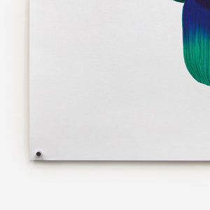 POSTER HANGING KIT | METAL MAGNETS