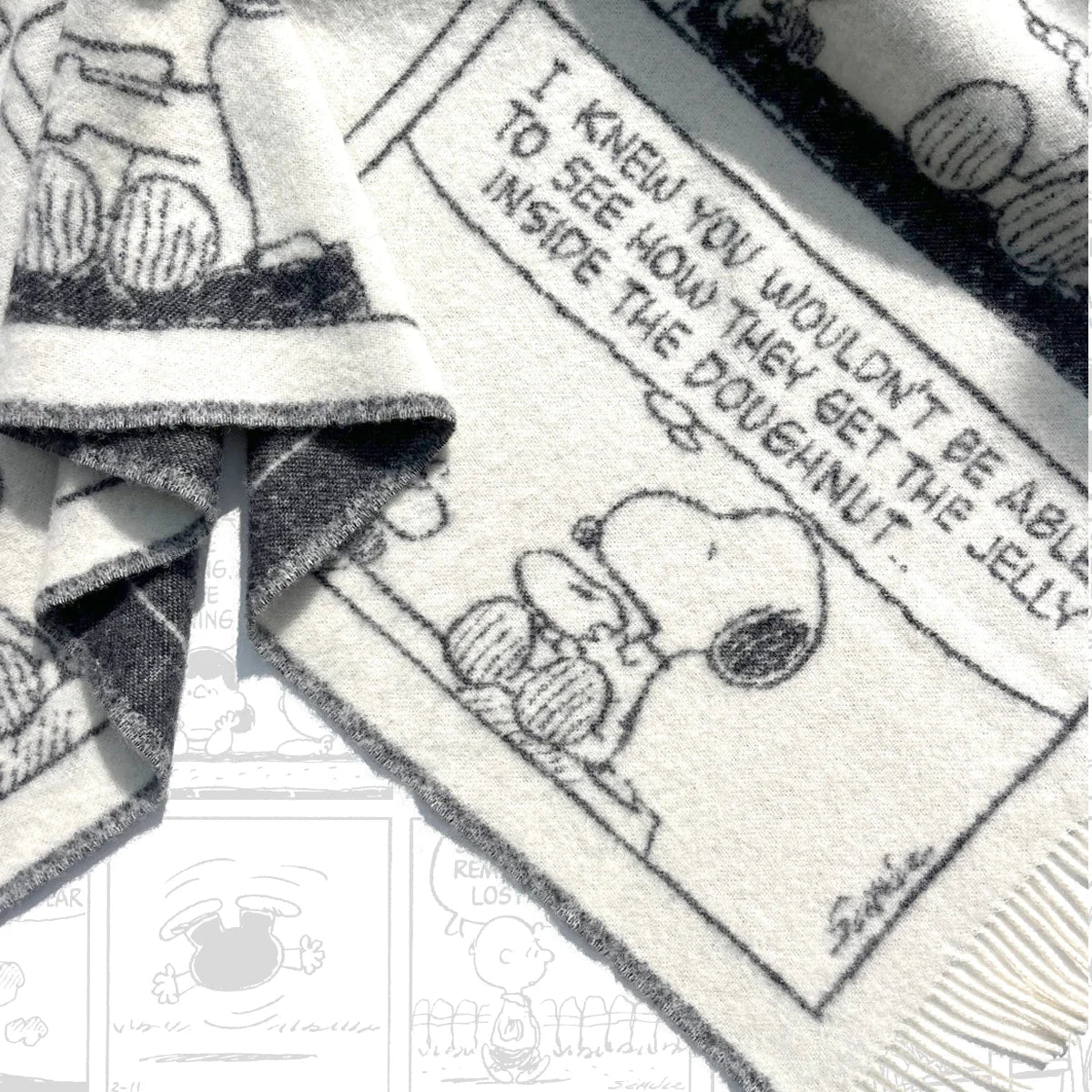 Peanuts Blanket Comic Doughnut White Black
