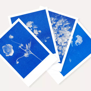 Risography postcard | Rose No. 2