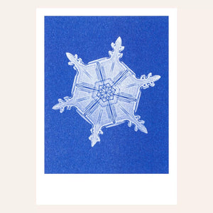Risography postcard | Snow