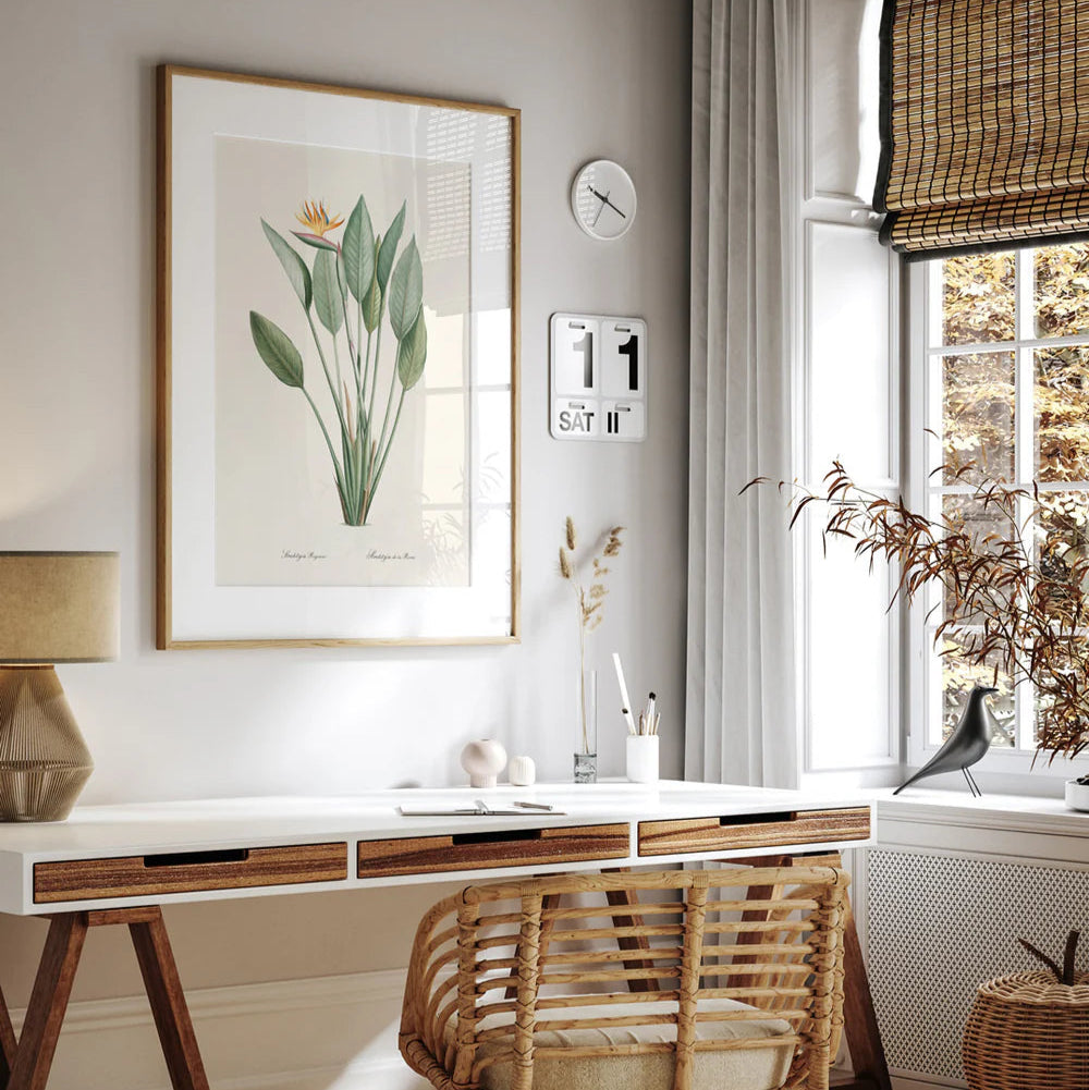 STRELITZIA REGINA | 30x40cm