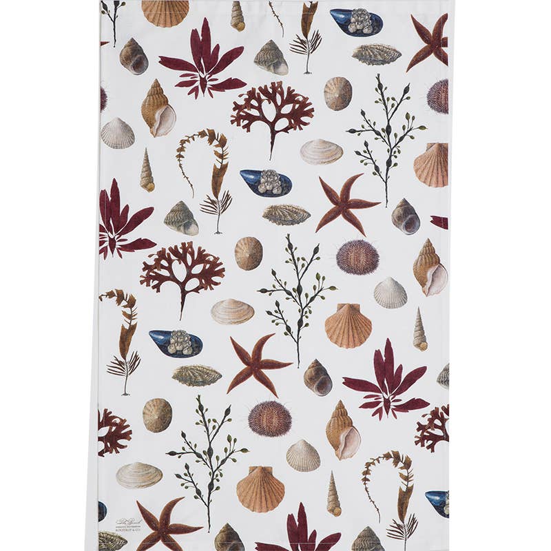 Shells Tea Towel | Organic Cotton