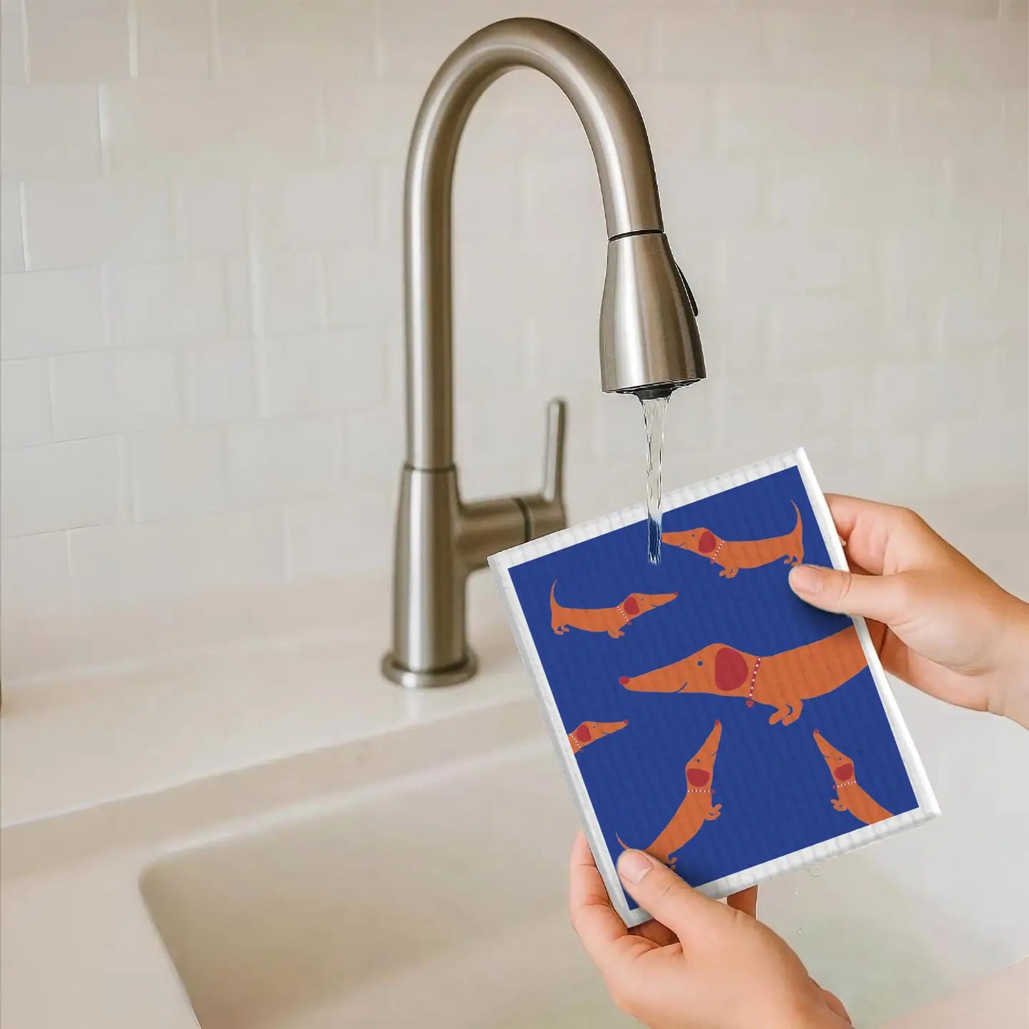 Sponge Cloth | Dachshund