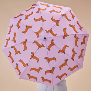 Saucisse-chien | Parapluie-canard