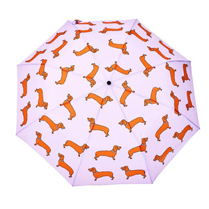 Saucisse-chien | Parapluie-canard