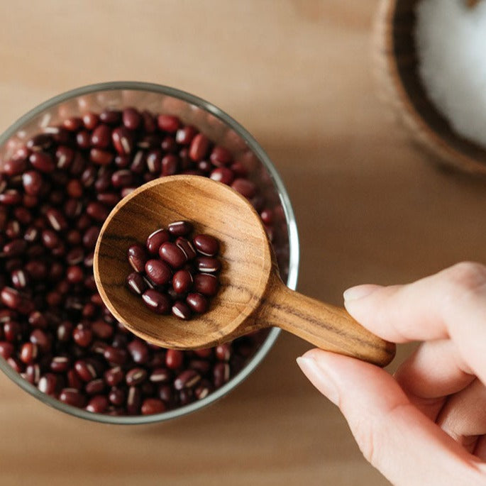 Condiments/Coffee Scoop