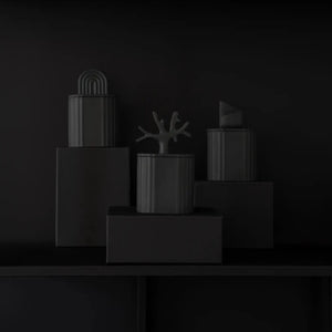 Arco Iris Black - Miel foncé et tabac