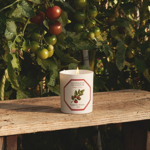 Tomato candle