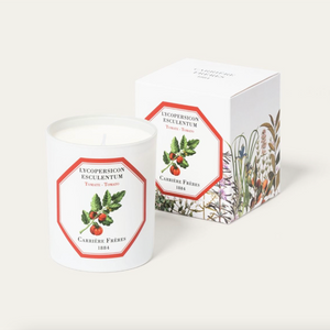 Tomato candle