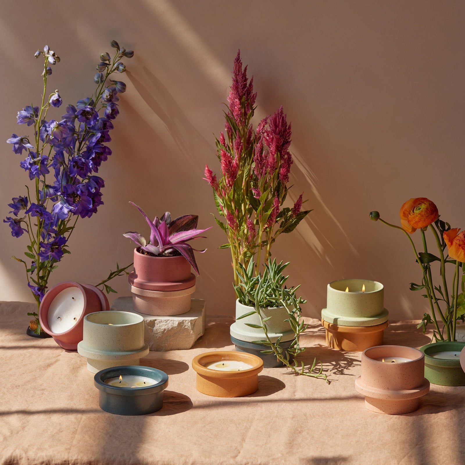 Folia Scented Candles | PADDYWAX