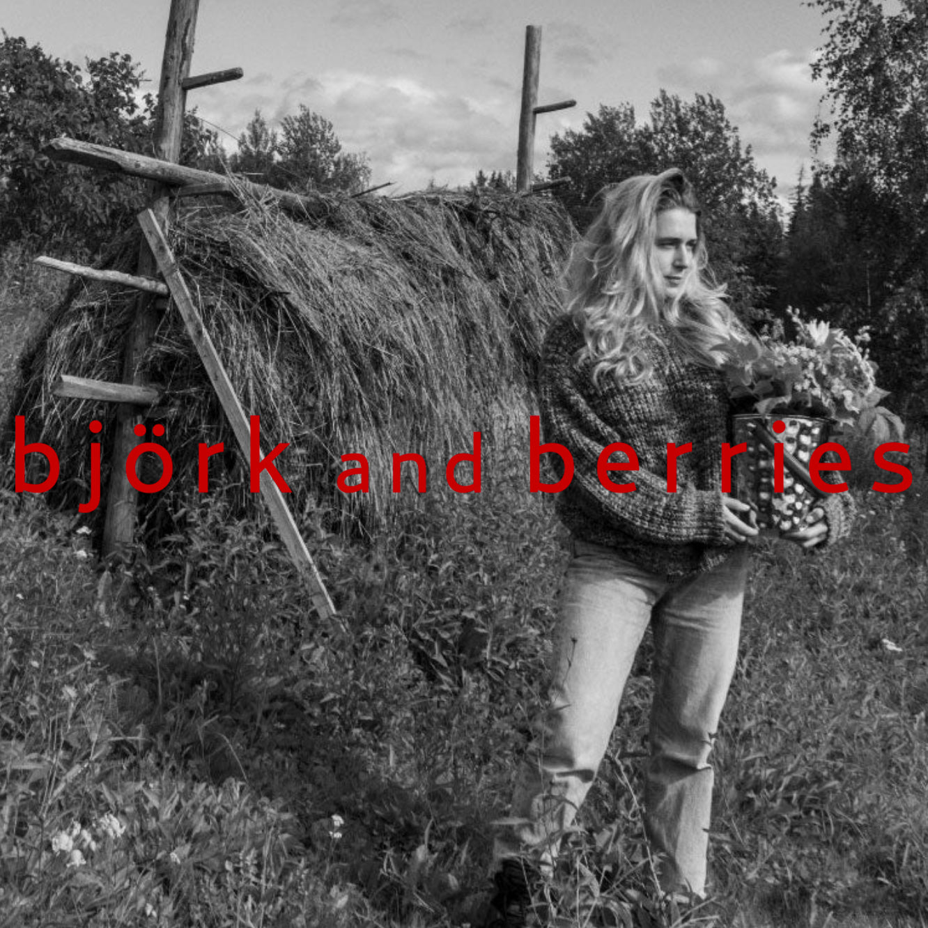 The Wild Soul of Sweden | BJÖRK AND BERRIES