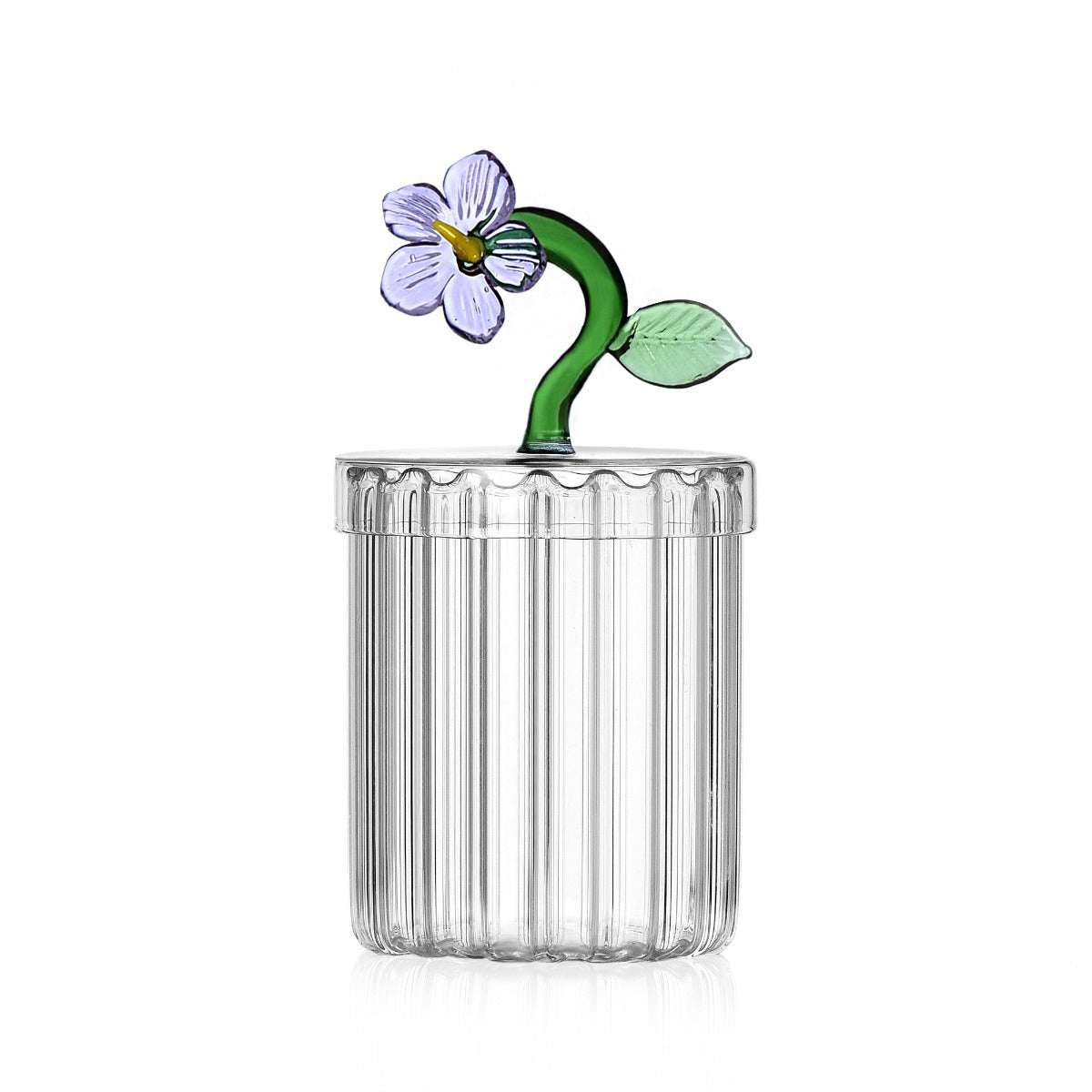 Optische Box Lila Blume 💐