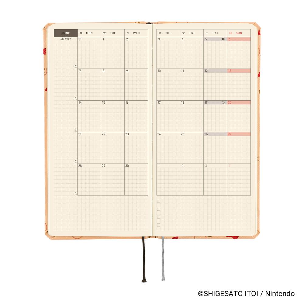 2027 Weeks MOTHER | Mr. Saturn Pattern