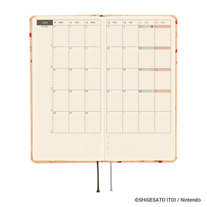 2027 Weeks MOTHER | Mr. Saturn Pattern