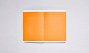 INSPIRATION BOOK M | BLOOM