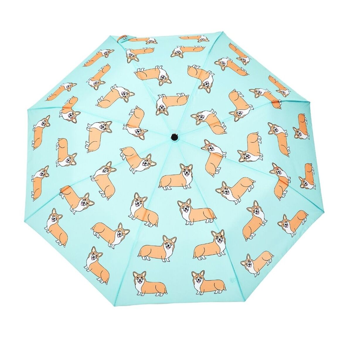 Corgi-Hund | Entenschirm