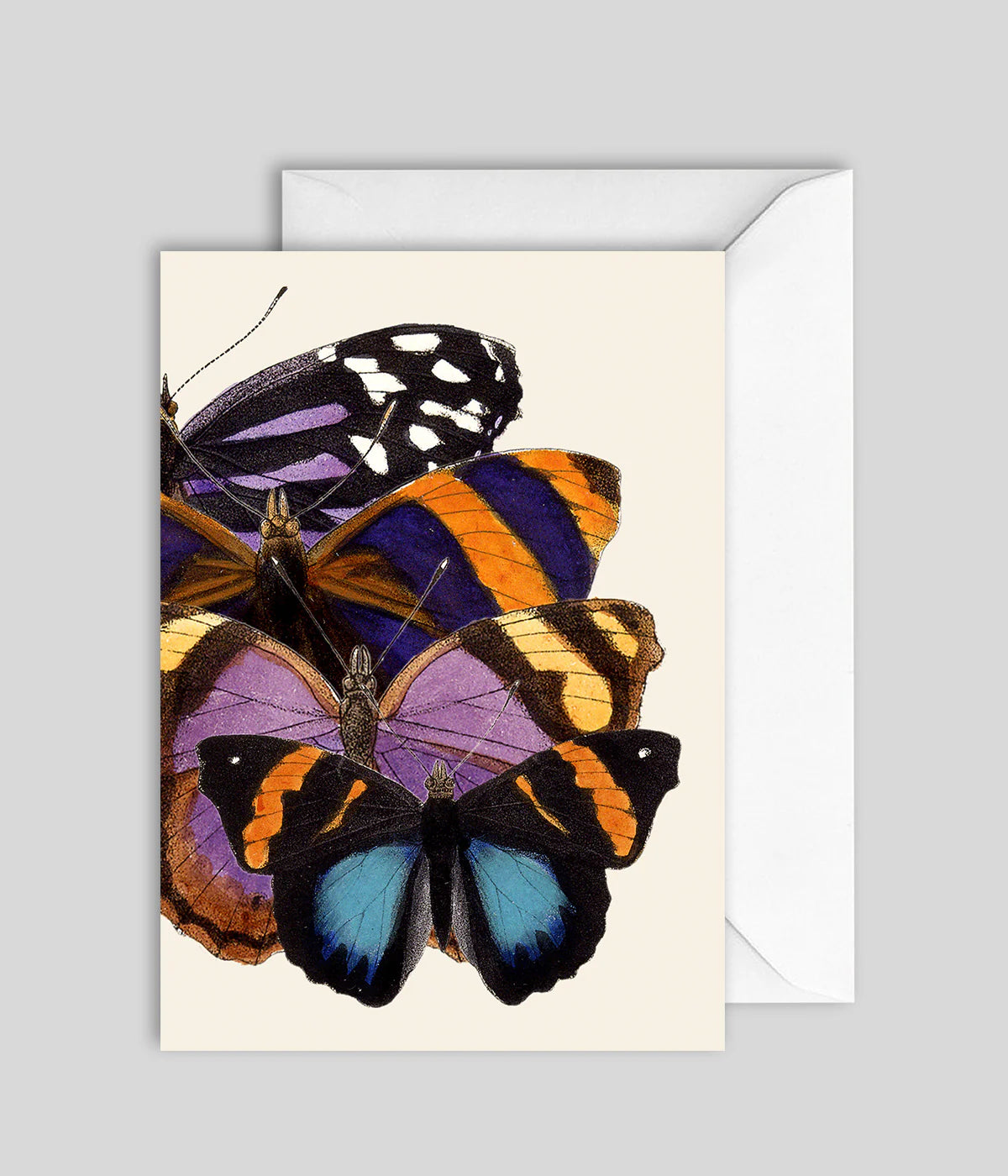 Greeting Card Butterflies