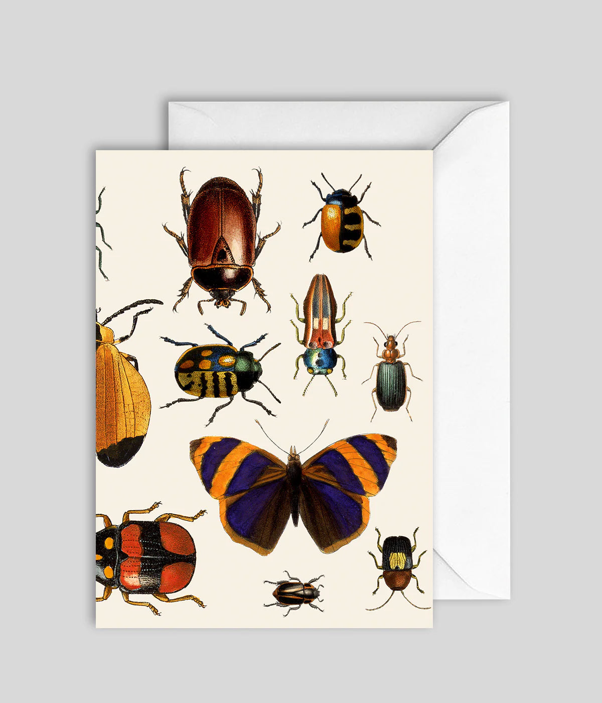 Greeting Card Beatles