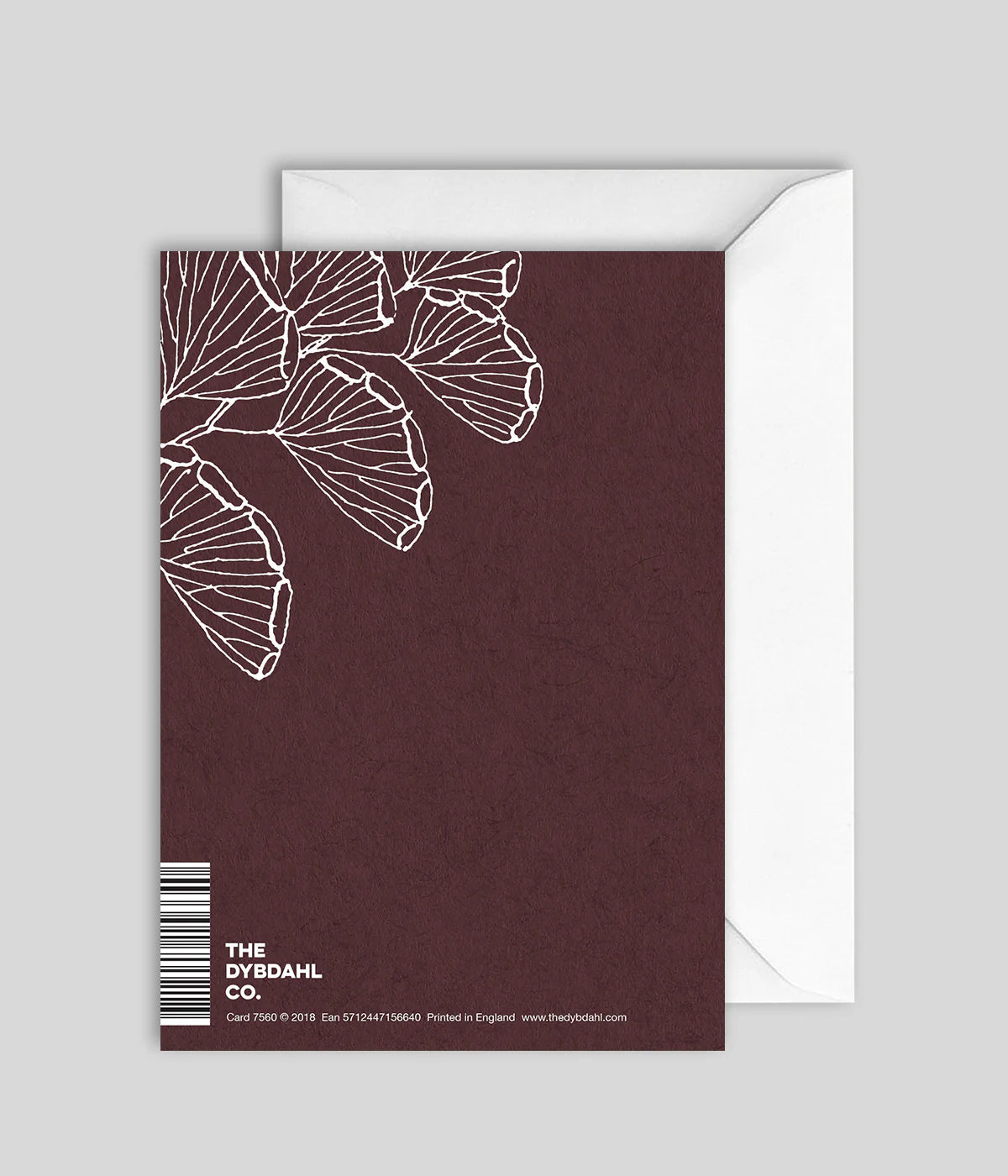 Greeting Card Ferns