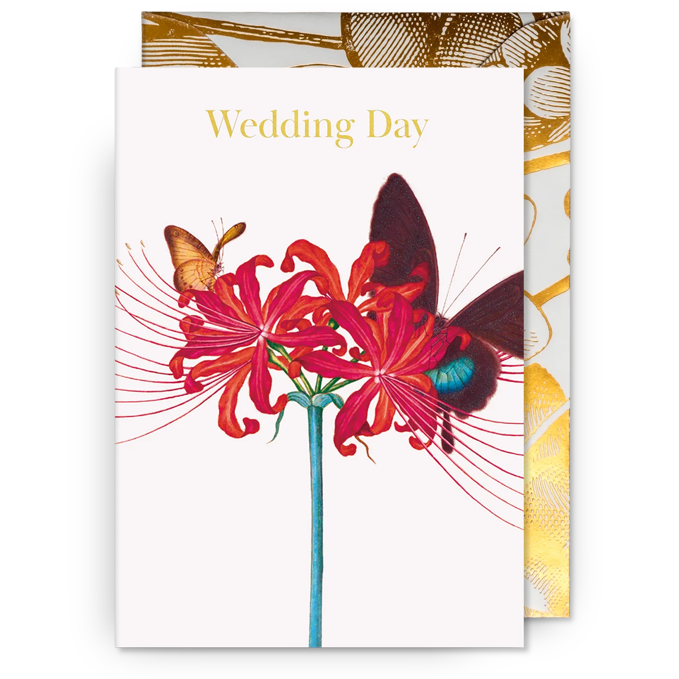 Amaryllis | Kew Gardens | Wedding Card