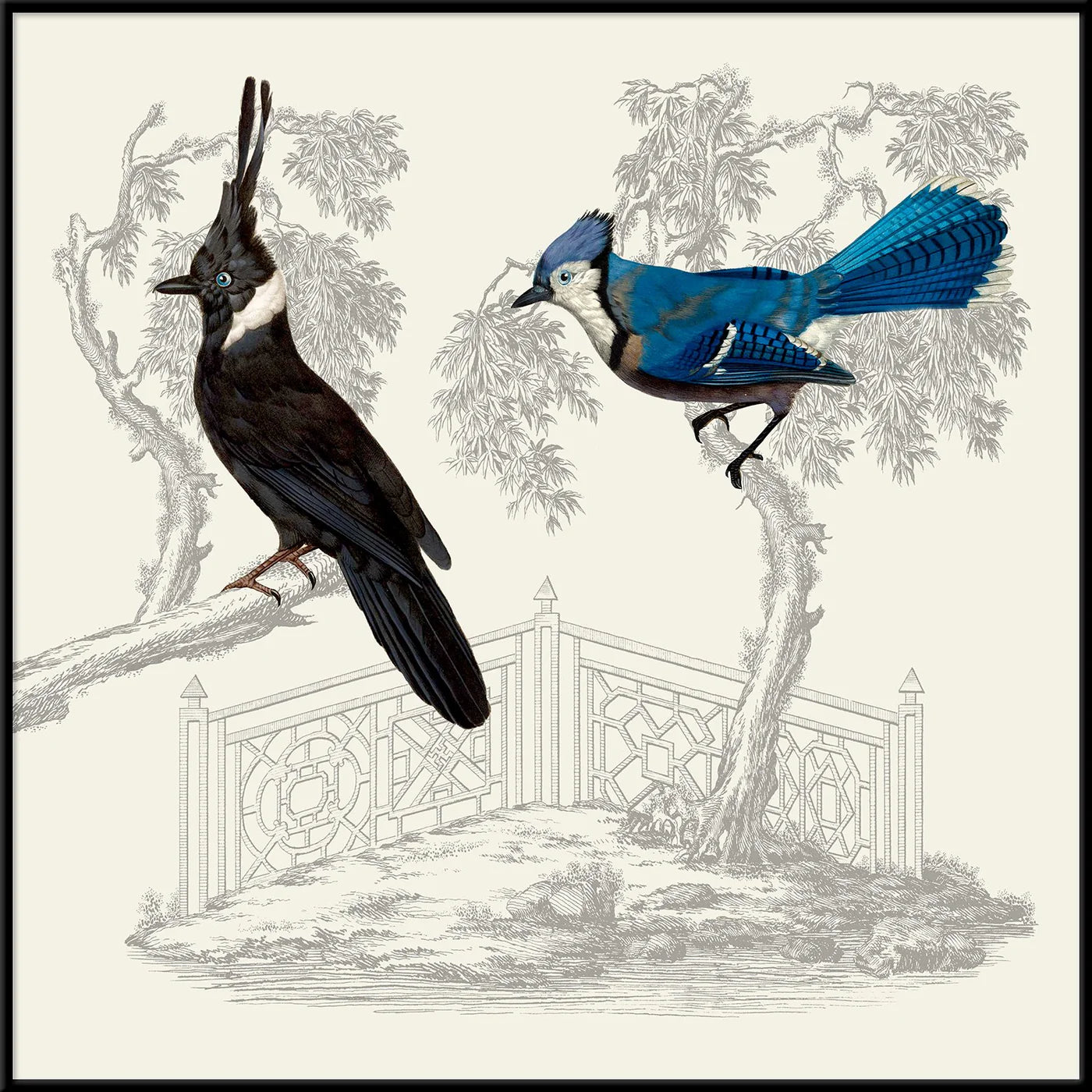 BLUE AND BLACK BIRDS | 30x30cm | BlACK ALU FRAME