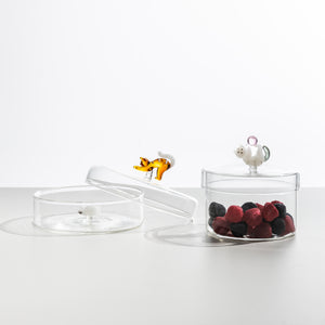 Box Cat With Pink Ball