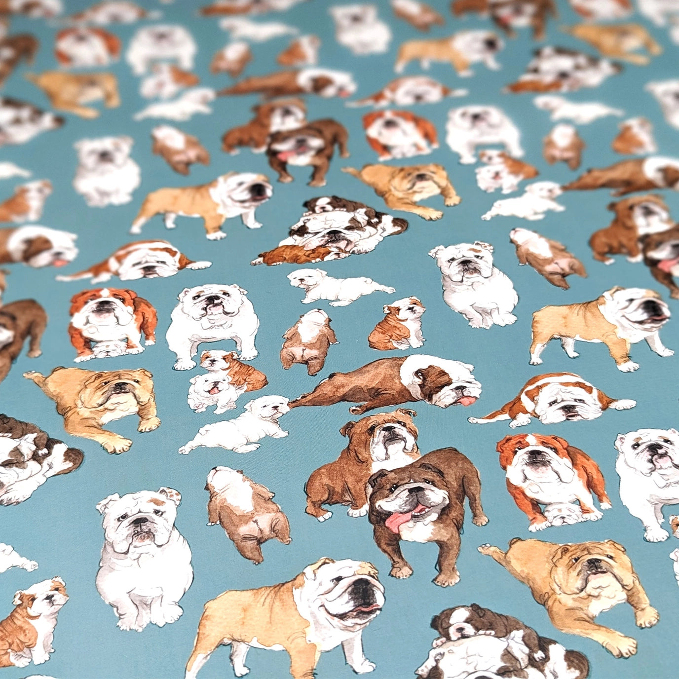 British Bulldog Wrapping Paper